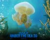 underthesea07_1280x1024.jpg